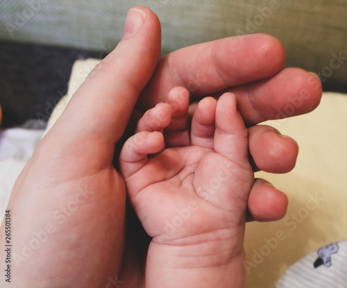 small child's hand, baby's hand close-up