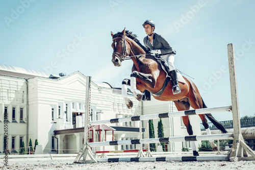 Fotografie, Tablou Beautiful graceful horse jumping over the barrier