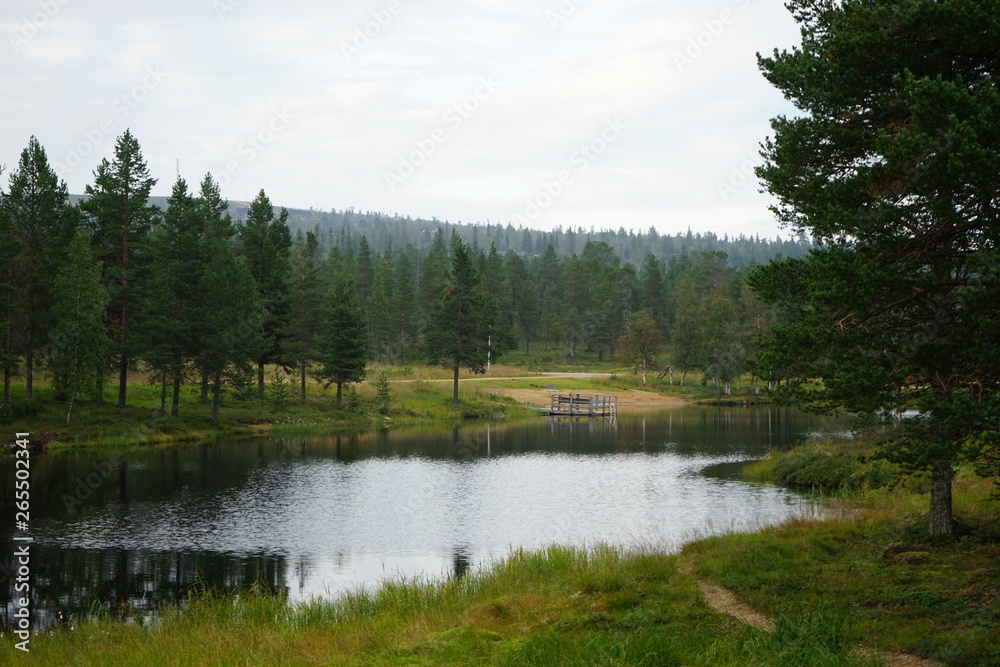 A small lake with a wooden pier,  surrounded by green trees, Lapland, Finland
