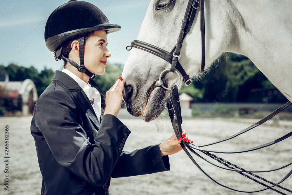 Pleasant young woman touching her horse nose - obrazy, fototapety, plakaty 