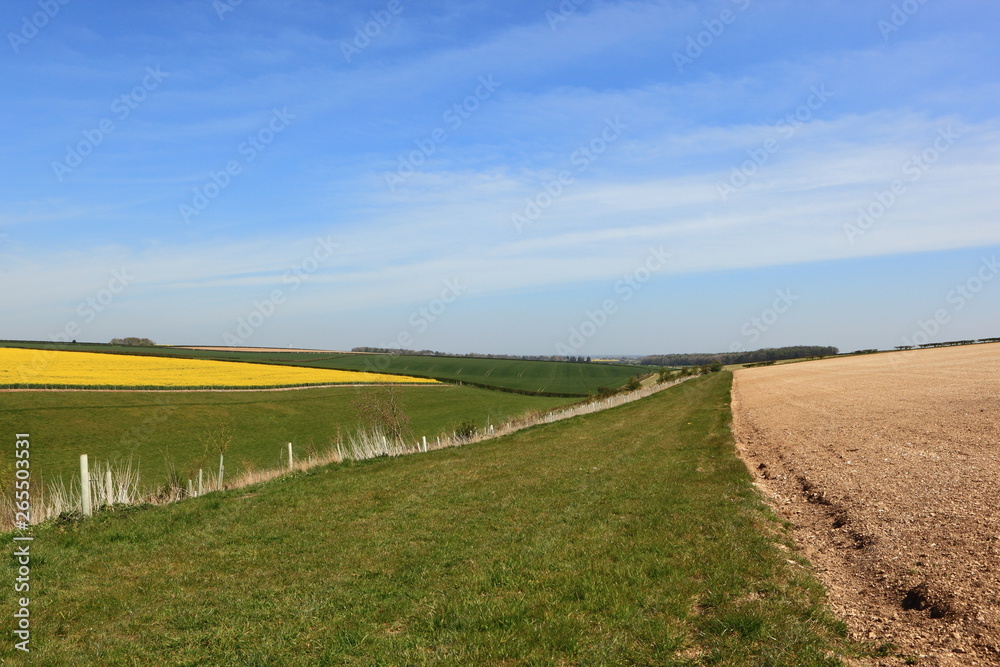 Patchwork fields in the beautiful patchwork landscape of the Yorkshire wolds in springtime Patchwork fields in the beautiful patchwork landscape of the Yorkshire wolds in springtime