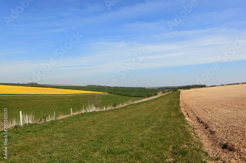Patchwork fields in the beautiful patchwork landscape of the Yorkshire wolds in springtime