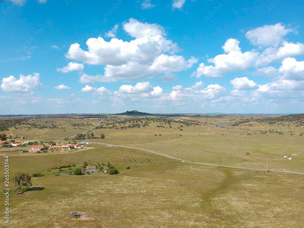 Fototapeta premium Aerial view of a farm field in Portugal