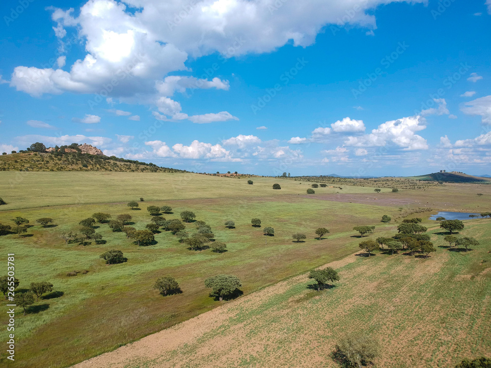 Fototapeta premium Aerial view of a farm field in Portugal