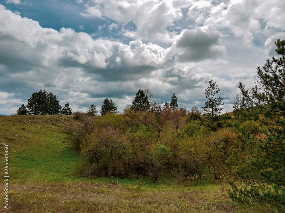Obraz premium A photograph of wonderful landscape with grassy meadow and forested hills with cloudy sky.