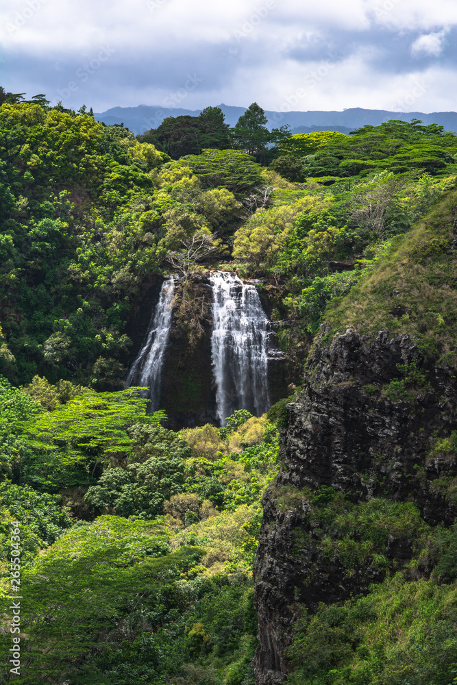 Opaekaa Falls in Wailua State Park, Kauai, Hawaii