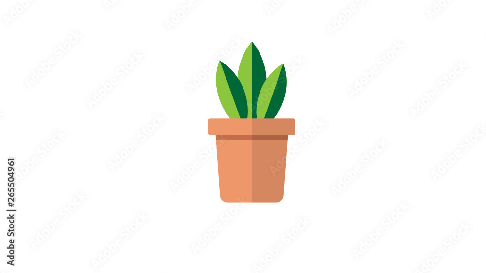 Vector green plants in a pot