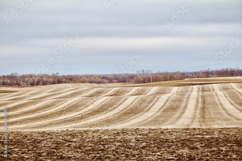 Rolling Harvested Field