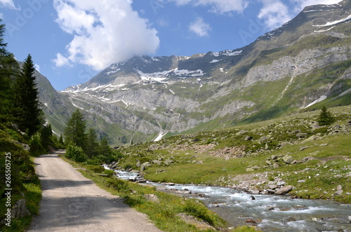 Wunderschöne Bergwelt in Südtirol photo
