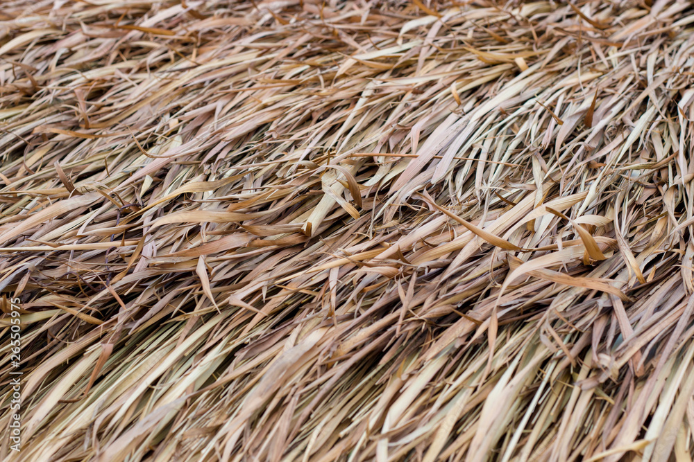 Close up dried hay roof for natural background texture Close up dried hay roof for natural background texture