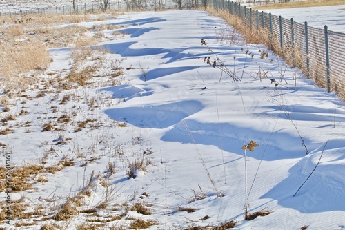 Snow Drift Fence