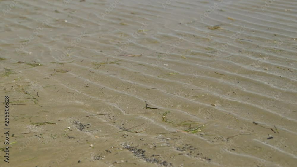 Extreme close-up high angle still shot of smooth coral beach contours at Lady Elliot Island, and the bare feet of running travellers, Qld Island, Australia