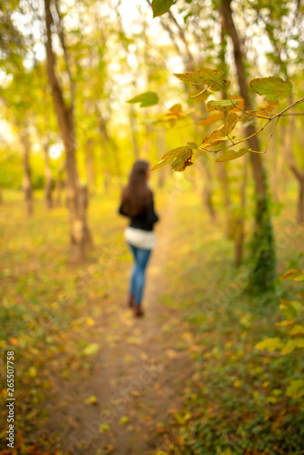 Girl in a park autumn scenery, on a footpath through the woods landscape, enjoying the warm sunny day. Full length body shot, focus is on a branch with yellow leaves © Creatikon Studio