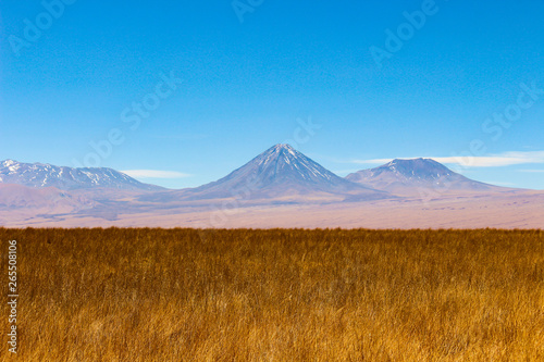 Beautiful region of the Atacama Desert, full of colors, light and so many charms, located in Chile.