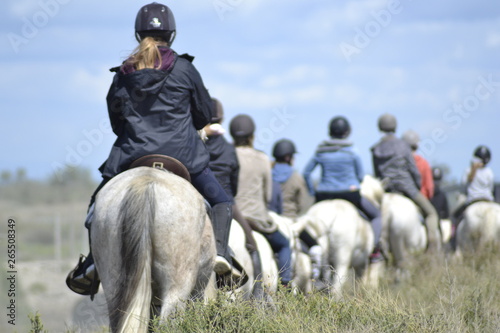 Passeggiata a cavallo in Camargue photo