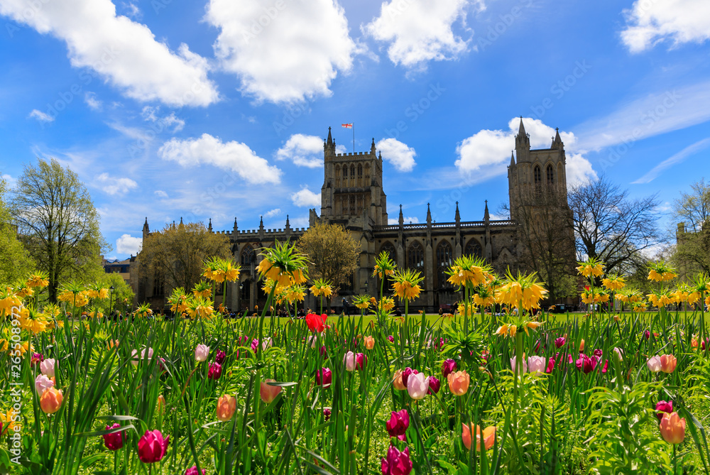 Spring Blooming in front of the Bristol Cathedral.