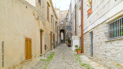 16502_The_small_narrow_road_in_a_village_in_Erice_Trapani_Italy-101.jpg