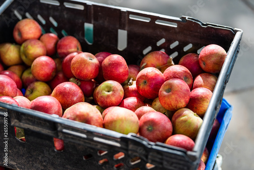 Foto Apple store with many fruit in plastic crate box during autumn fall season in fa