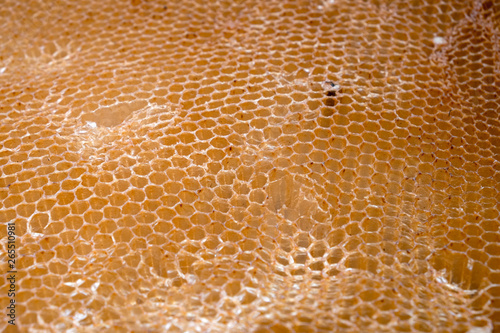 Background of recently collected honeycomb