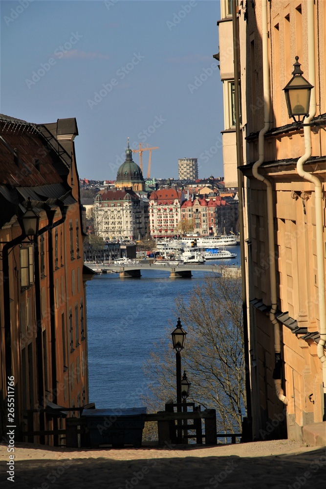 Naklejka premium suede stockolm