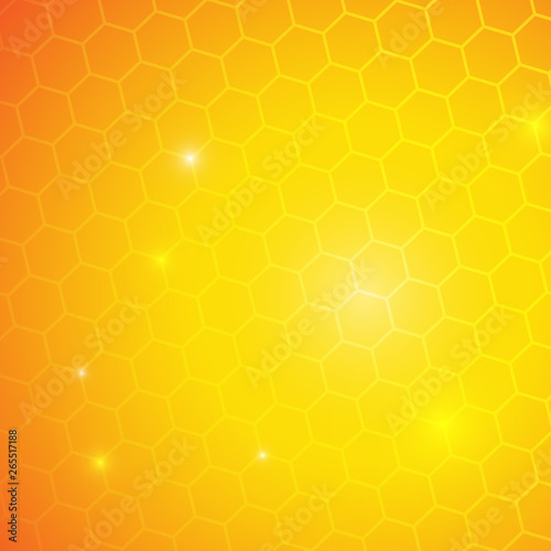 Vector : Honey comb on yellow orange background