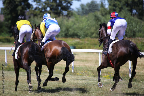 Horse race (Gallop) © U. J. Alexander