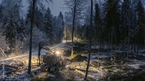 Bild auf Leinwand 22816_The_view_of_the_log_harvester_on_the_side_of_the_forest85