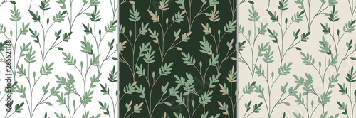 Vector set of seamless patterns with wild herbs. Branches and leaves.