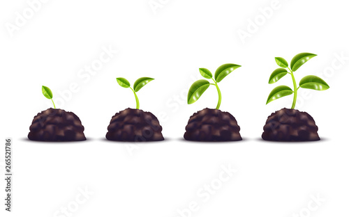 Realistic Detailed 3d Green Plant over Ground Set. Vector