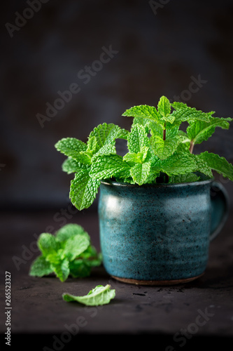 Fresh sprigs of mint in a rustic ceramic cup against dark background
