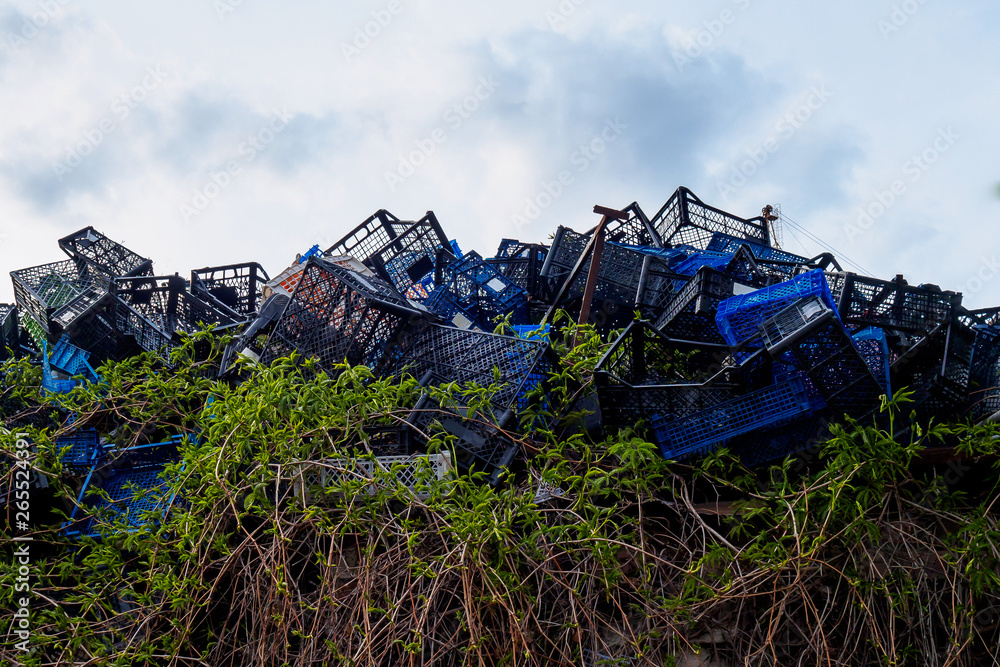 plastic boxes among green climbing plants in a landfill