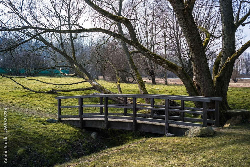 Landschaft im Frühjahr
