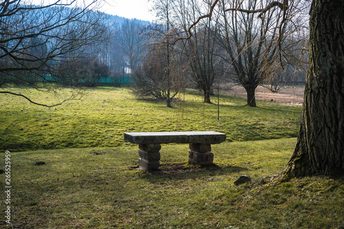 Obraz na płótnie Landschaft im Frühjahr w salonie