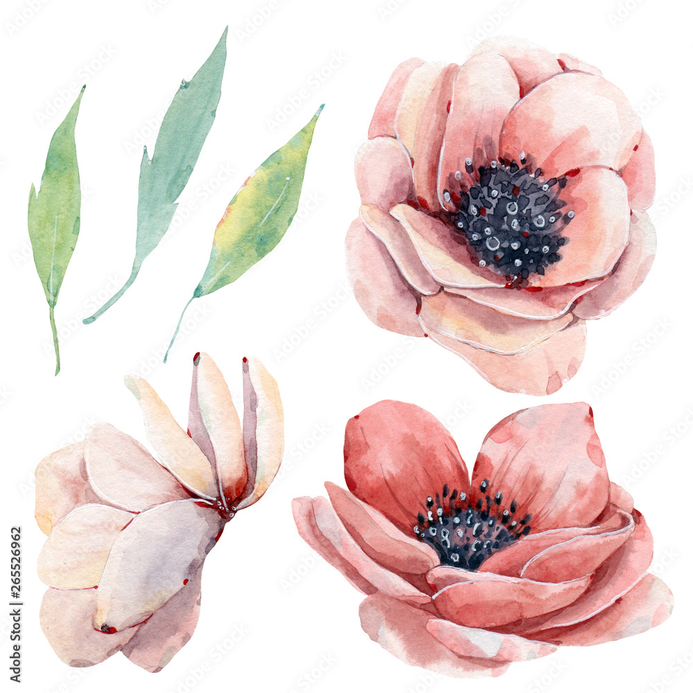 Obraz Handpainted watercolor flowers set in vintage style.