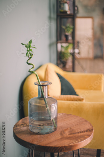 Close-up bamboo branch stands in a transparent blue vase on a wooden table on a blurred background of a yellow sofa with pillows