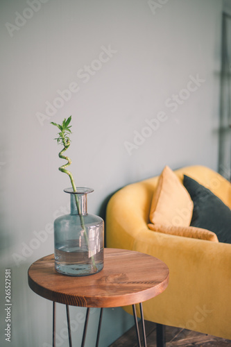 Close-up bamboo branch stands in a transparent blue vase on a wooden table on a blurred background of a yellow sofa with pillows