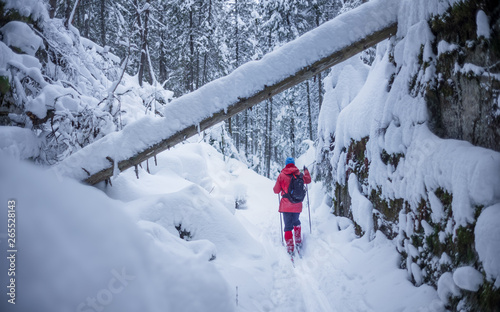 Photography Skiing between snowclad trees - Under a fallen trunk