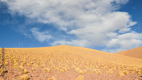 Yellow hill in the vastity of Puna, Argentina
