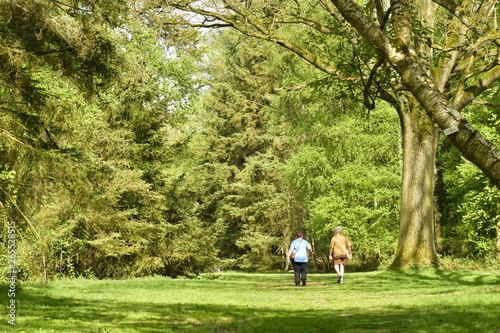 Promenade dans l'une des clairières au milieu de la végétation luxuriante de l'arboretum de Tervuren 