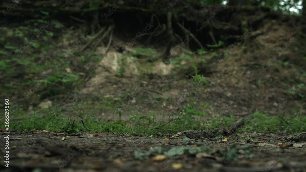 Running soldier boots. Squad of Five Fully Equipped Soldiers in Camouflage on a Reconnaissance Military Mission. They're Running in Through Dense Forest. Close-Up. Slow Motion. 4K. Running soldier boots. Squad of Five Fully Equipped Soldiers in Camouflage on a Reconnaissance Military Mission. They're Running in Through Dense Forest. Close-Up. Slow Motion. 4K.