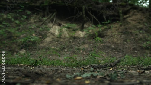 Wallpaper Mural Running soldier boots. Squad of Five Fully Equipped Soldiers in Camouflage on a Reconnaissance Military Mission. They're Running in Through Dense Forest. Close-Up. Slow Motion. 4K. Torontodigital.ca