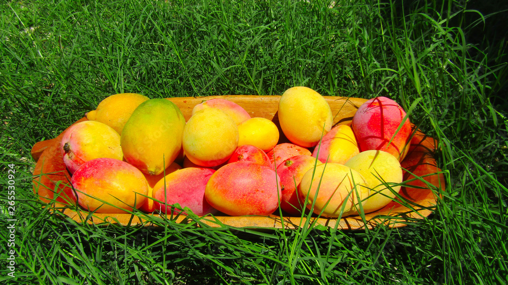 Mango - Delicius fruit from Brazil Mango - Delicius fruit from Brazil
