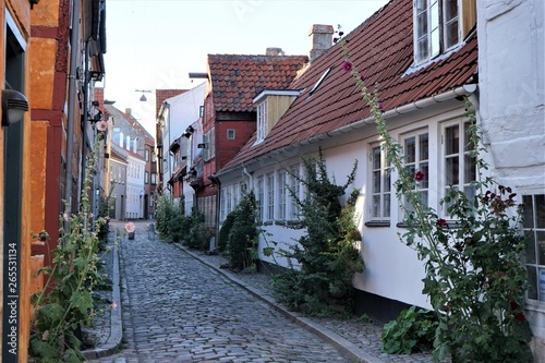 Fototapeta Naklejka Na Ścianę i Meble -  A peaceful empty street with small colorful houses and flowers. Helsingor, Denmark. 
