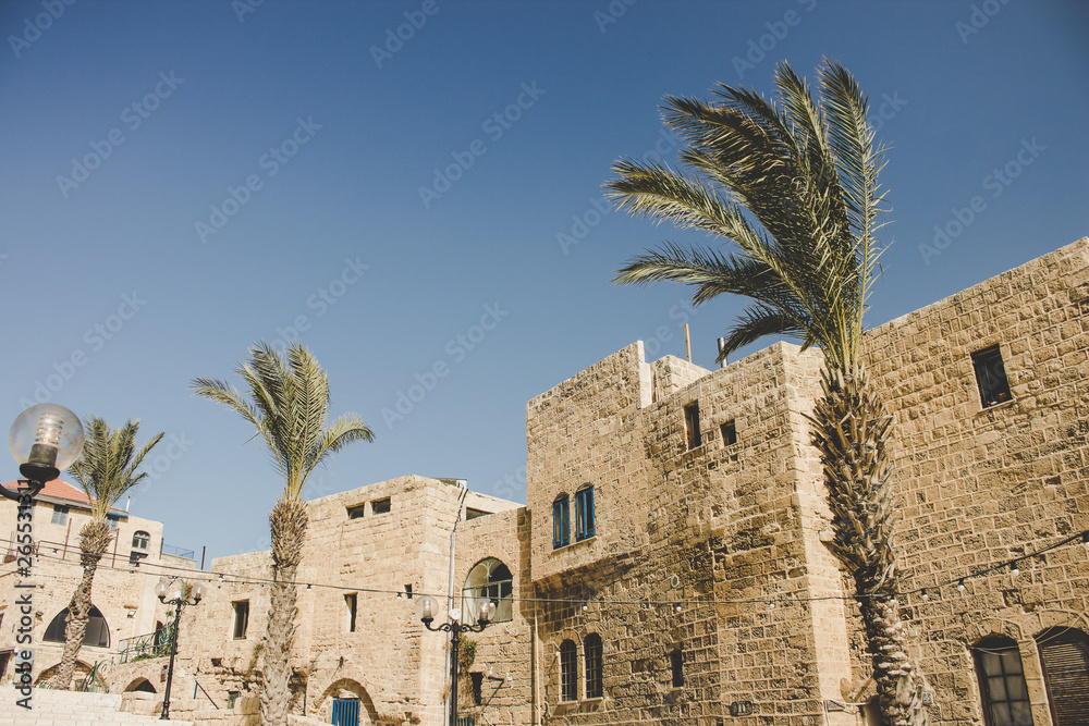 Jewish ancient city street Jaffa stone building and palm trees in bright summer windy weather time, touristic heritage and sightseeing landmark place