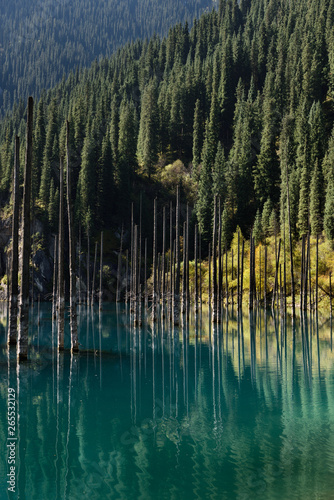 Asian Spruce forest at turquoise Lake Kaindy Kazakhstan in the Fall