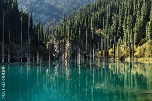 Asian Spruce forest reflected in turquoise Lake Kaindy Kazakhstan in the Fall