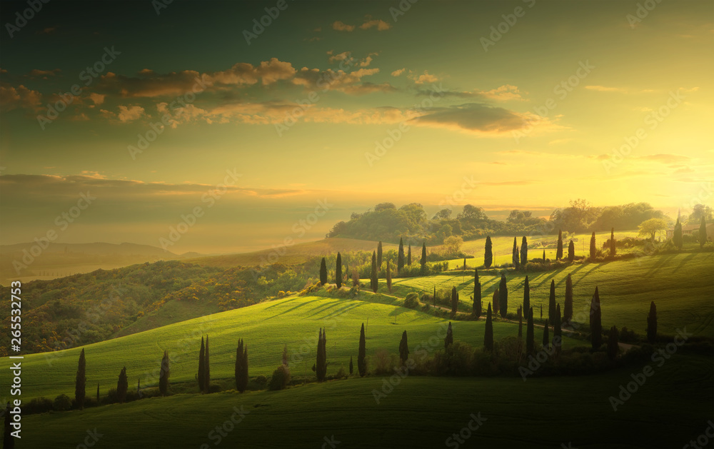 summer farmland and country road;  tuscany countryside rolling hills