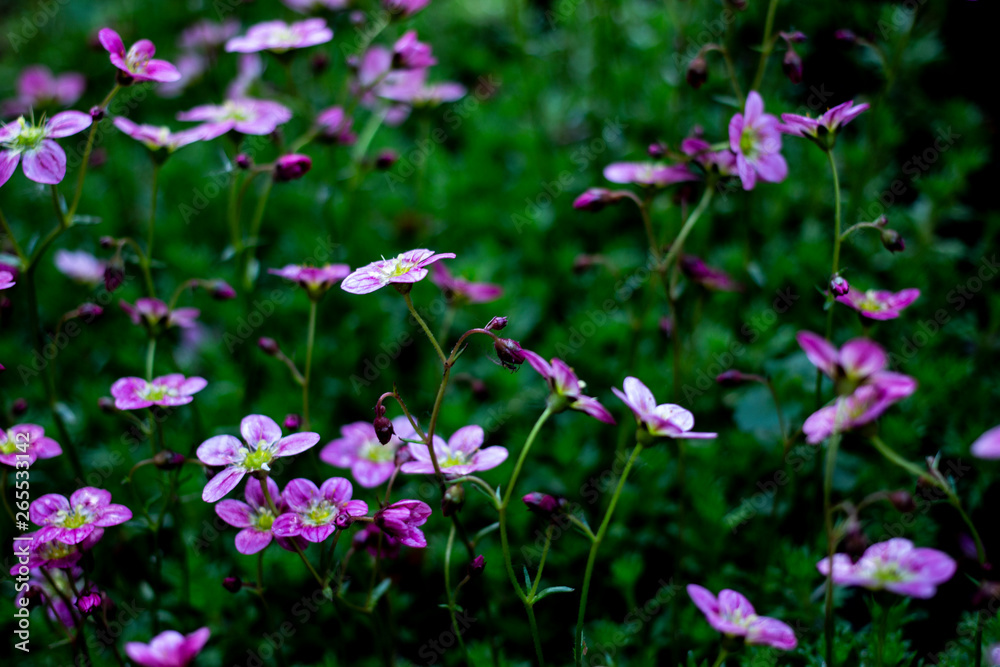 nature19 nature19