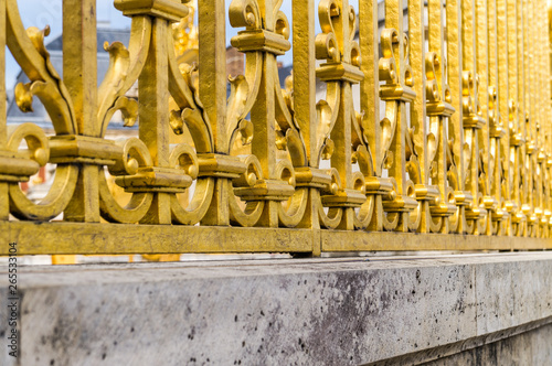 Golden fence gold wrought torsade in Versailles France  photo