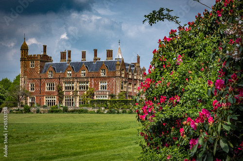 Billede på lærred Stately home with red flower bush